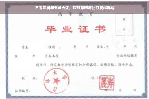 自考专科毕业证丢失，应对策略与补办流程详解