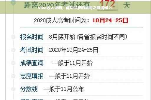 vivo收入证明，成功品牌的盈利之路揭秘 ?✨