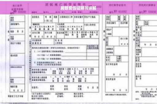 肩部受伤证明书详解