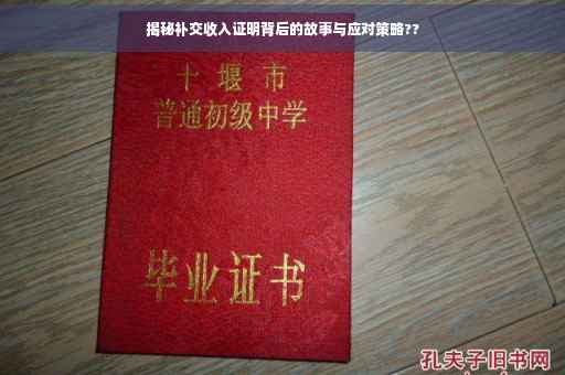 揭秘补交收入证明背后的故事与应对策略??