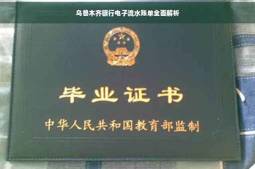 乌鲁木齐银行电子流水账单全面解析
