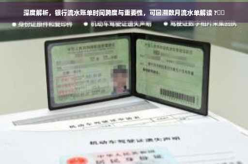 深度解析，银行流水账单时间跨度与重要性，可回溯数月流水单解读 ?⚡️