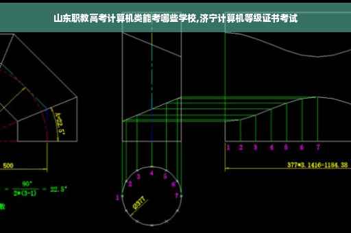 山东职教高考计算机类能考哪些学校,济宁计算机等级证书考试
