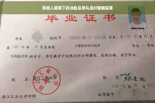 零收入困境下的自我反思与应对策略探索