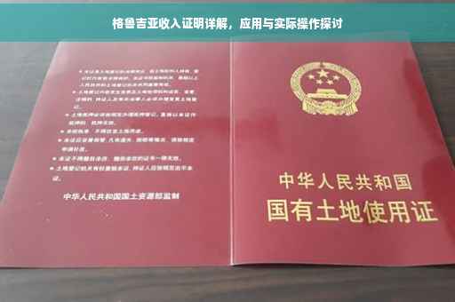 格鲁吉亚收入证明详解，应用与实际操作探讨