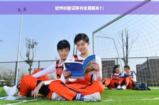 钦州诊断证明书全面解析?⚡