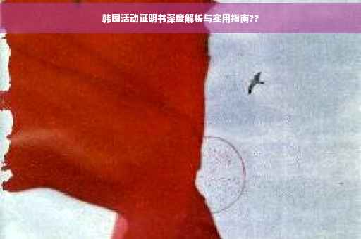韩国活动证明书深度解析与实用指南??
