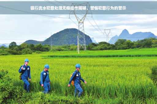 银行流水犯罪处理无痕操作揭秘，警惕犯罪行为的警示