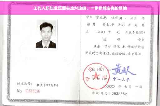 工作入职毕业证丢失应对攻略，一步步解决你的烦恼