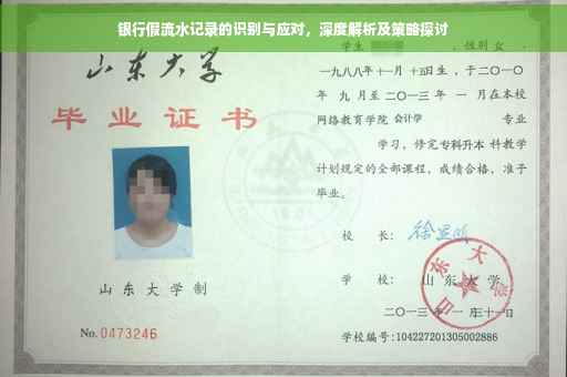 银行假流水记录的识别与应对，深度解析及策略探讨