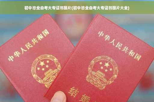初中毕业自考大专证书图片(初中毕业自考大专证书图片大全)