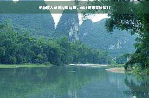 罗源收入证明深度解析，现状与未来展望??