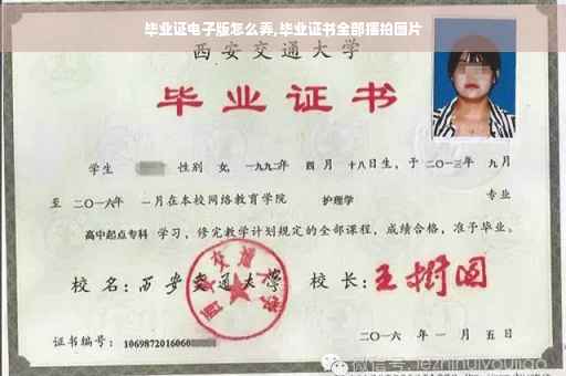 毕业证电子版怎么弄,毕业证书全部摆拍图片
