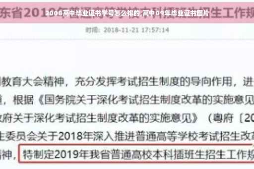 2008高中毕业证书学号怎么排的,高中09年毕业证书图片
