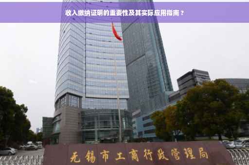 收入缴纳证明的重要性及其实际应用指南 ?