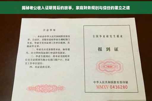 揭秘老公收入证明背后的故事，家庭财务规划与信任的建立之道