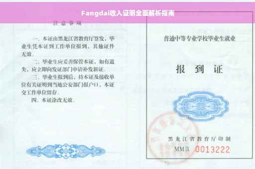 Fangdai收入证明全面解析指南