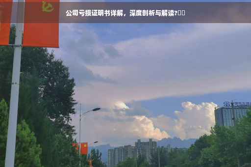 公司亏损证明书详解，深度剖析与解读?⚡️