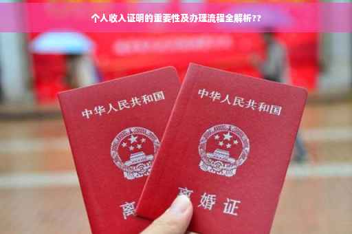 个人收入证明的重要性及办理流程全解析??