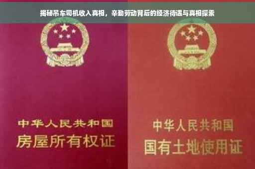 揭秘吊车司机收入真相，辛勤劳动背后的经济待遇与真相探索
