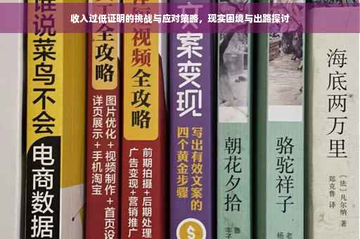 收入过低证明的挑战与应对策略，现实困境与出路探讨