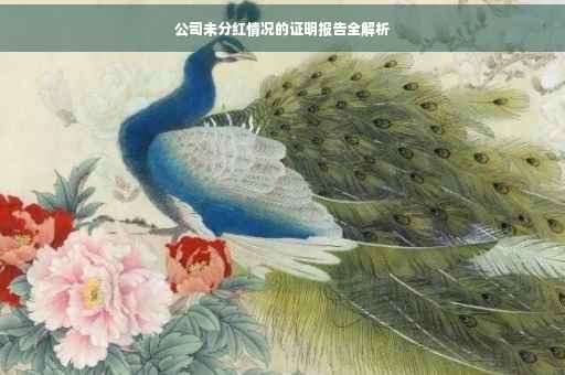 公司未分红情况的证明报告全解析