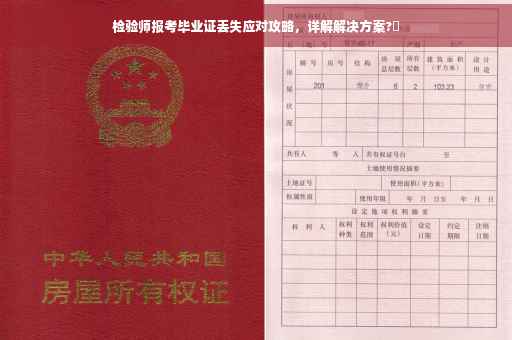 检验师报考毕业证丢失应对攻略，详解解决方案?✨