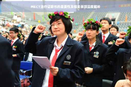 MECT治疗证明书的重要性及相关事项深度解析