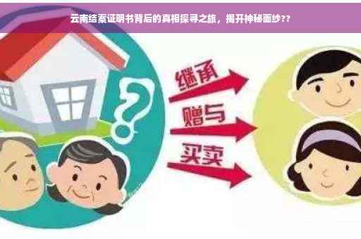 云南结案证明书背后的真相探寻之旅，揭开神秘面纱??