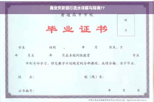 商业贷款银行流水详解与指南??