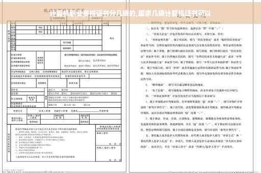 计算机职业资格证书分几级的,国家几级计算机证书可以