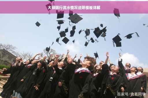 大额银行流水情况说明模板详解