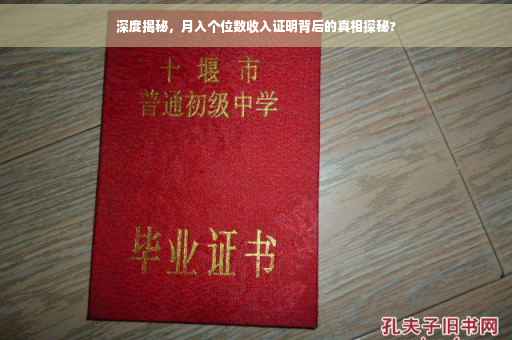 深度揭秘，月入个位数收入证明背后的真相探秘?