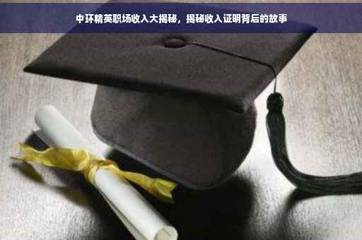 中环精英职场收入大揭秘，揭秘收入证明背后的故事