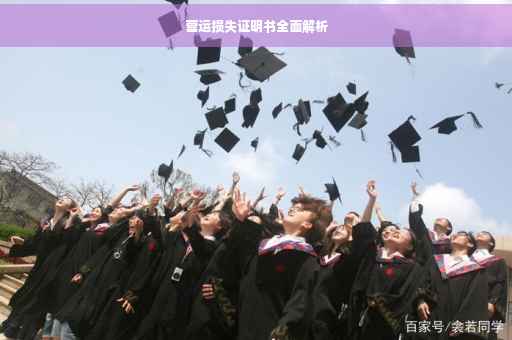 营运损失证明书全面解析