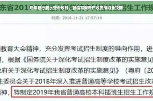 建设银行流水查看攻略，轻松掌握账户收支明细全攻略