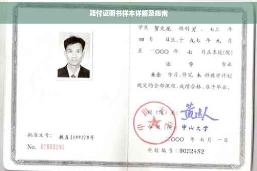 赔付证明书样本详解及指南