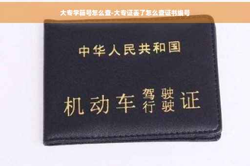 大专学籍号怎么查-大专证丢了怎么查证书编号