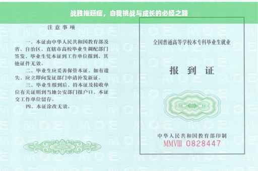 战胜拖延症，自我挑战与成长的必经之路