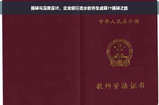 揭秘与深度探讨，企业银行流水软件生成器??揭秘之旅