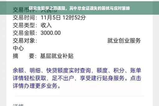 研究生留学之路遇阻，高中毕业证遗失的困扰与应对策略