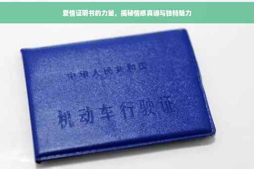 爱情证明书的力量，揭秘情感真谛与独特魅力