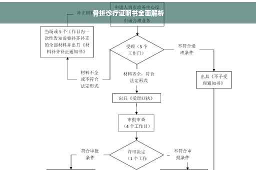 骨折诊疗证明书全面解析