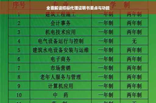 全面解读招标代理证明书要点与功能