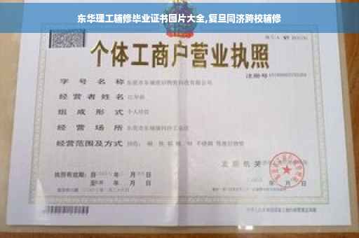 东华理工辅修毕业证书图片大全,复旦同济跨校辅修