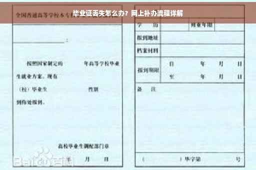 毕业证丢失怎么办？网上补办流程详解