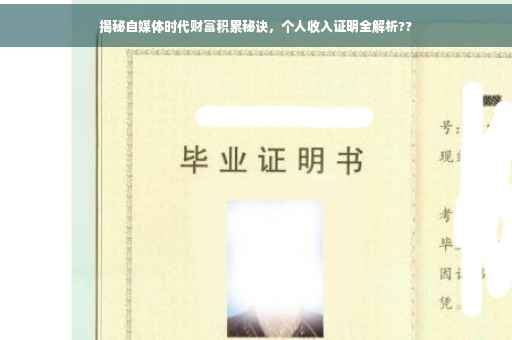 揭秘自媒体时代财富积累秘诀，个人收入证明全解析??