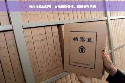 舞阳质量证明书，品质铸就信任，信誉引领未来