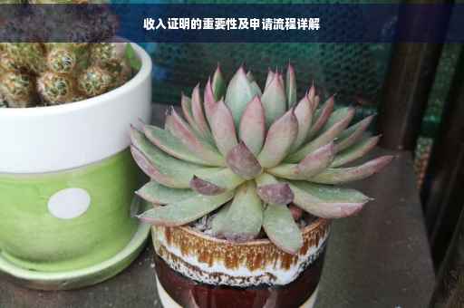 收入证明的重要性及申请流程详解
