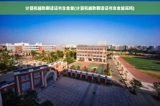计算机辅助翻译证书含金量(计算机辅助翻译证书含金量高吗)